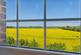 Additional image 11 of Wass Drove, Westmarsh, Canterbury