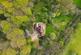 Additional image 49 of Crippetts Lane, Leckhampton, Cheltenham, Gloucestershire GL51