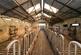 Additional image 11 of The Moor Farm, Sliddery, Isle of Arran, North Ayrshire, KA27