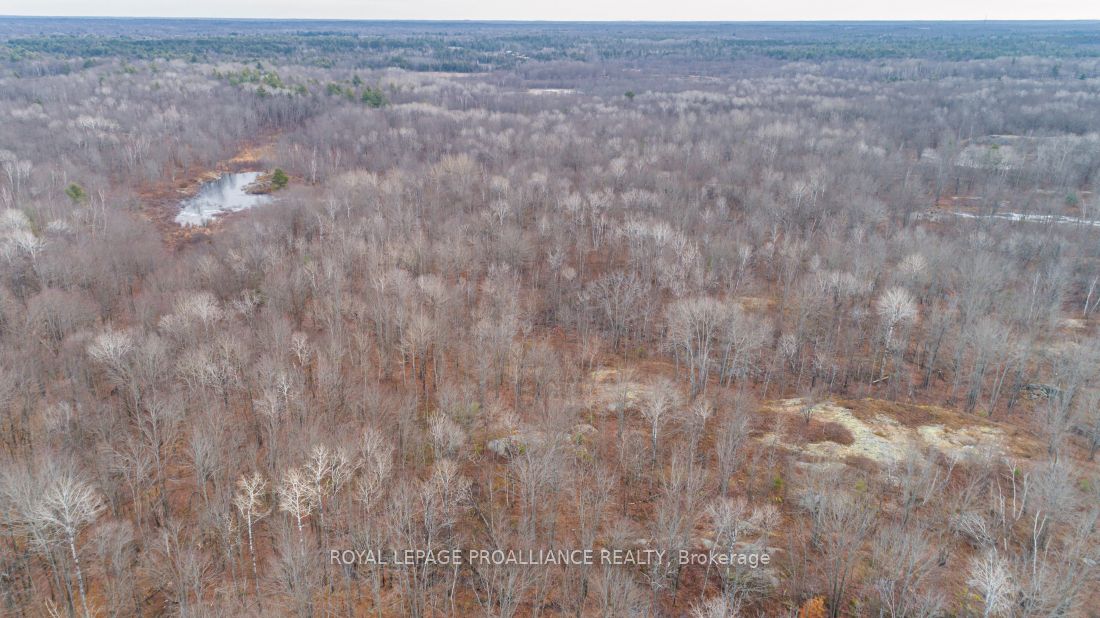 Additional image 2 of 1446 Flinton Road, Tweed, ON, K0H 1P0