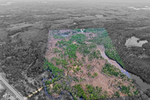 Additional image 7 of 9559 Hwy 28 N/a, North Kawartha, ON, K0L 1A0