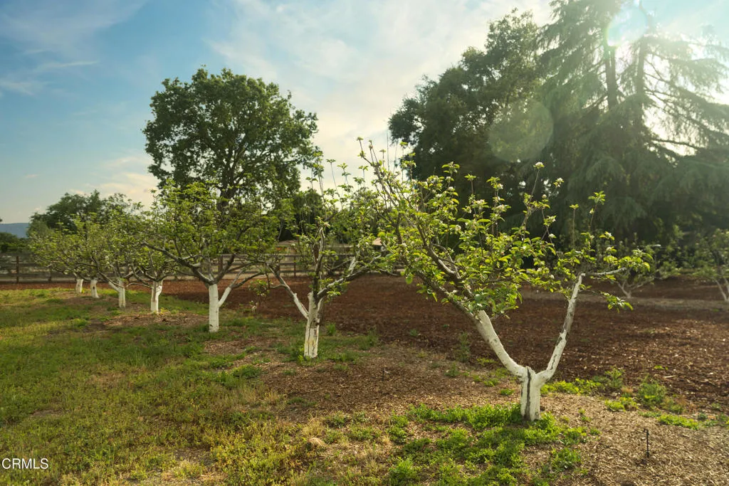 Additional image 43 of 2275 Alamo Pintado Road, Solvang, CA 93463