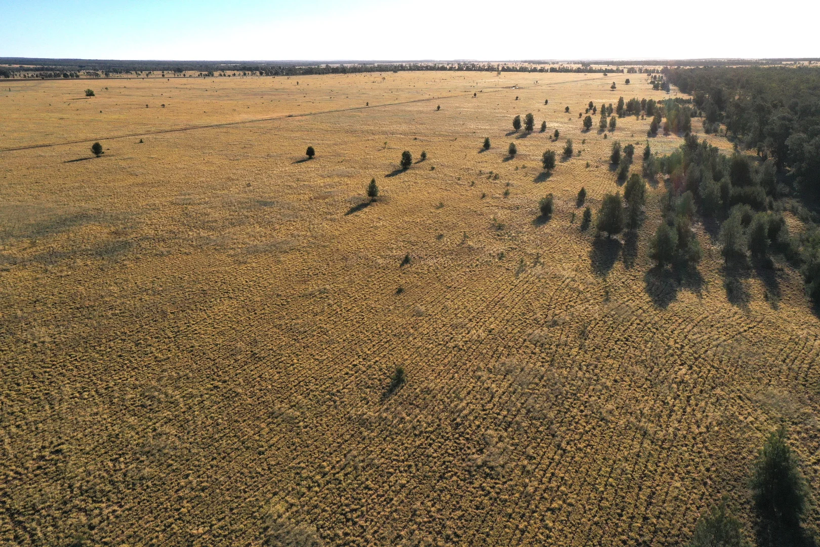 Additional image 20 of Roma QLD 4455