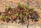 Additional image 31 of Teddington, Tewkesbury, Gloucestershire