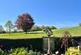 Additional image 26 of Lavernock Road, Penarth