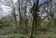 Additional image 17 of Golden Grove, Carmarthen, Carmarthenshire.