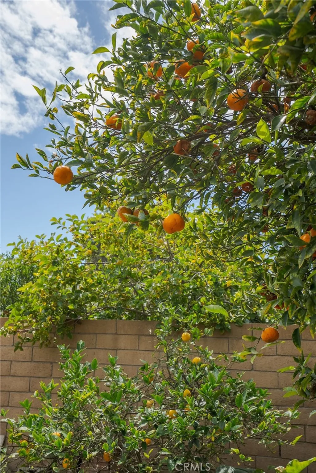 Additional image 26 of 9080 La Casita Ave, Fountain Valley, CA 92708