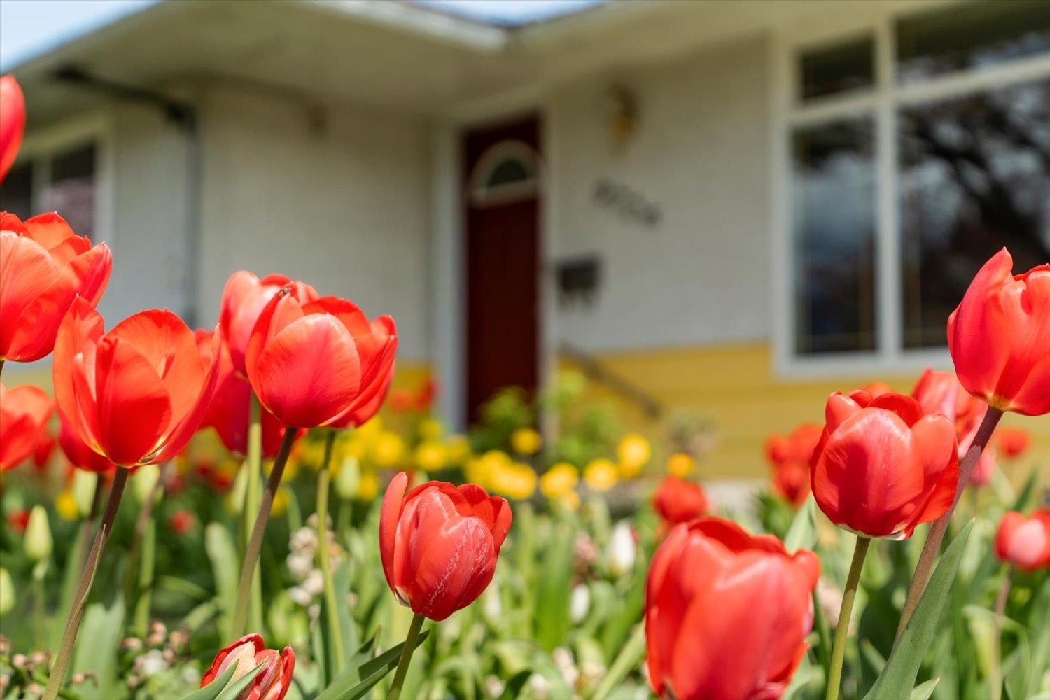 Additional image 2 of 9726 Juniper Street, Chilliwack, BC, V2P 5J1