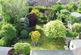 Additional image 24 of Aldershot Road, Aldershot GU12