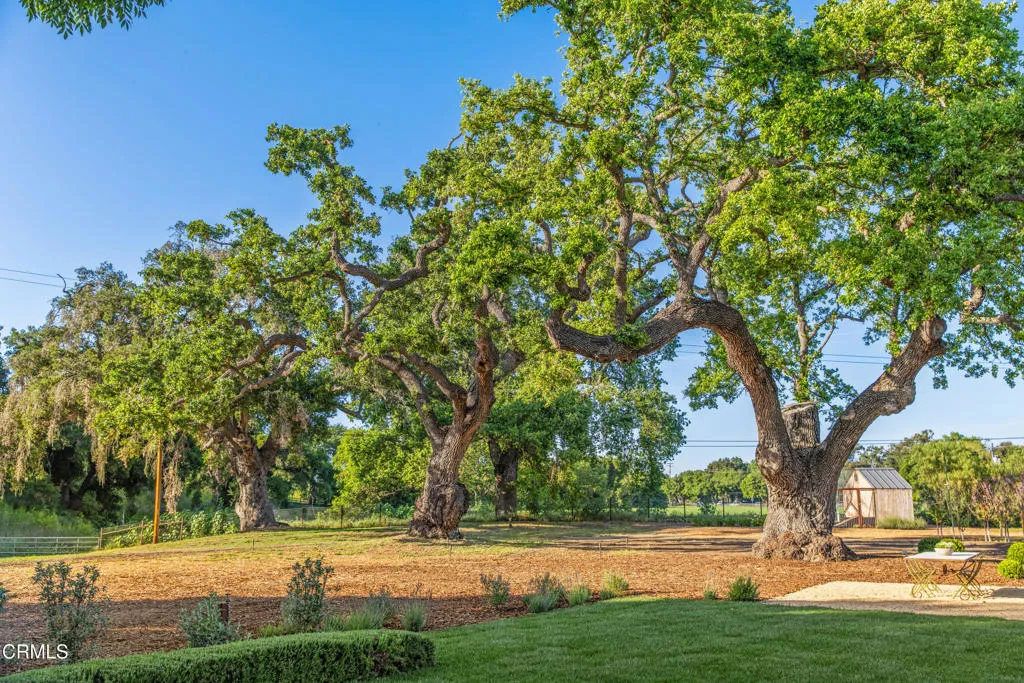 Additional image 77 of 2275 Alamo Pintado Road, Solvang, CA 93463