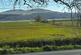 Additional image 11 of Newton Stewart DG8