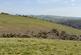 Additional image 10 of Llansawel, Llandeilo