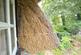 Additional image 5 of Home Close, Cottered