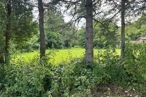 Additional image 7 of 1161 Edgewood Road, Hamilton, ON, L8B 1A1