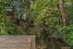 Additional image 9 of Brightfield Road, London SE12