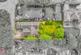 Additional image 5 of Broadhalgh Avenue, Rochdale OL11