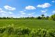 Additional image 15 of Wyberton West Road, Boston, PE21