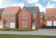 Plot 287, The Hatfield at Orchid Gardens at Ladgate Woods, Ladgate Lane TS8 photo 3