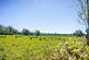 Additional image 39 of Greenfields, Ormskirk L39