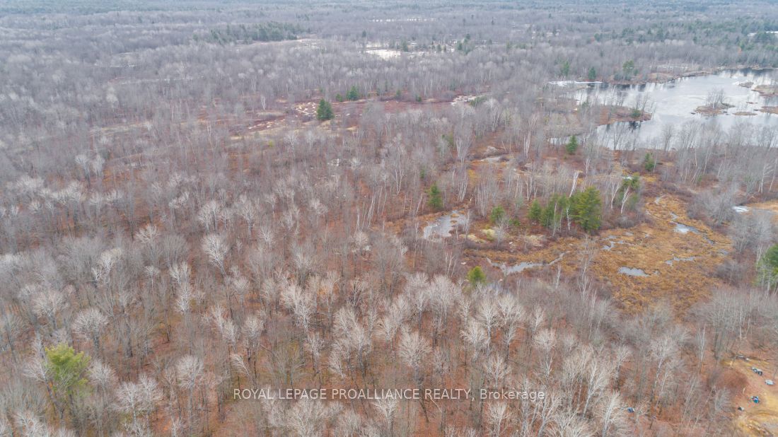 Additional image 3 of 1446 Flinton Road, Tweed, ON, K0H 1P0