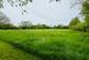 Additional image 18 of Llangeitho, Tregaron, SY25