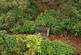 Additional image 39 of Pencarreg, Llanybydder, SA40