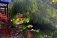 Additional image 2 of Haggwood Barn, Broad Highway, Wheldrake, York