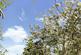Additional image 21 of Kidmore Lane, Reading RG4