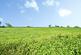 Additional image 4 of Horsebridge Hill, Newport, Isle of Wight, PO30
