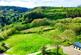 Additional image 12 of Gwernogle, Carmarthen, SA32