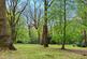 Additional image 56 of Tyrells, Hockley SS5