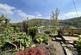 Additional image 22 of Rhonas Road, Clydach, Abergavenny, NP7