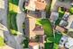 Additional image 24 of Kingsmead, Milton Keynes MK4