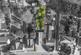 Additional image 24 of Fowlmere Road, Cambridge CB22