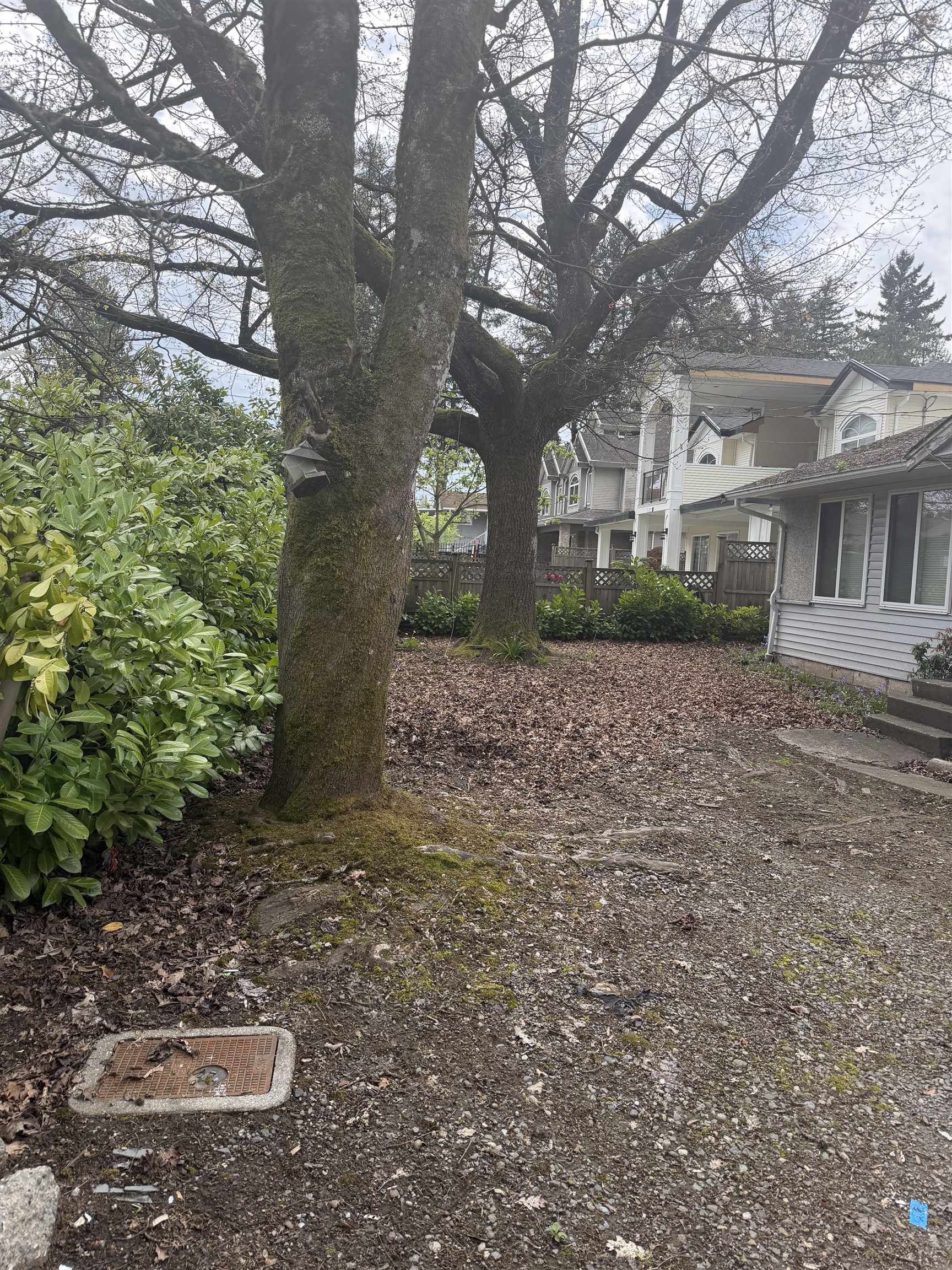 Additional image 2 of 10269 132 Street, Surrey, BC, V3T 3T8