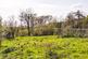 Additional image 12 of North Drive, Ossemsley, New Milton, Hampshire, BH25