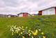 Additional image 26 of Llangain, Carmarthen SA33