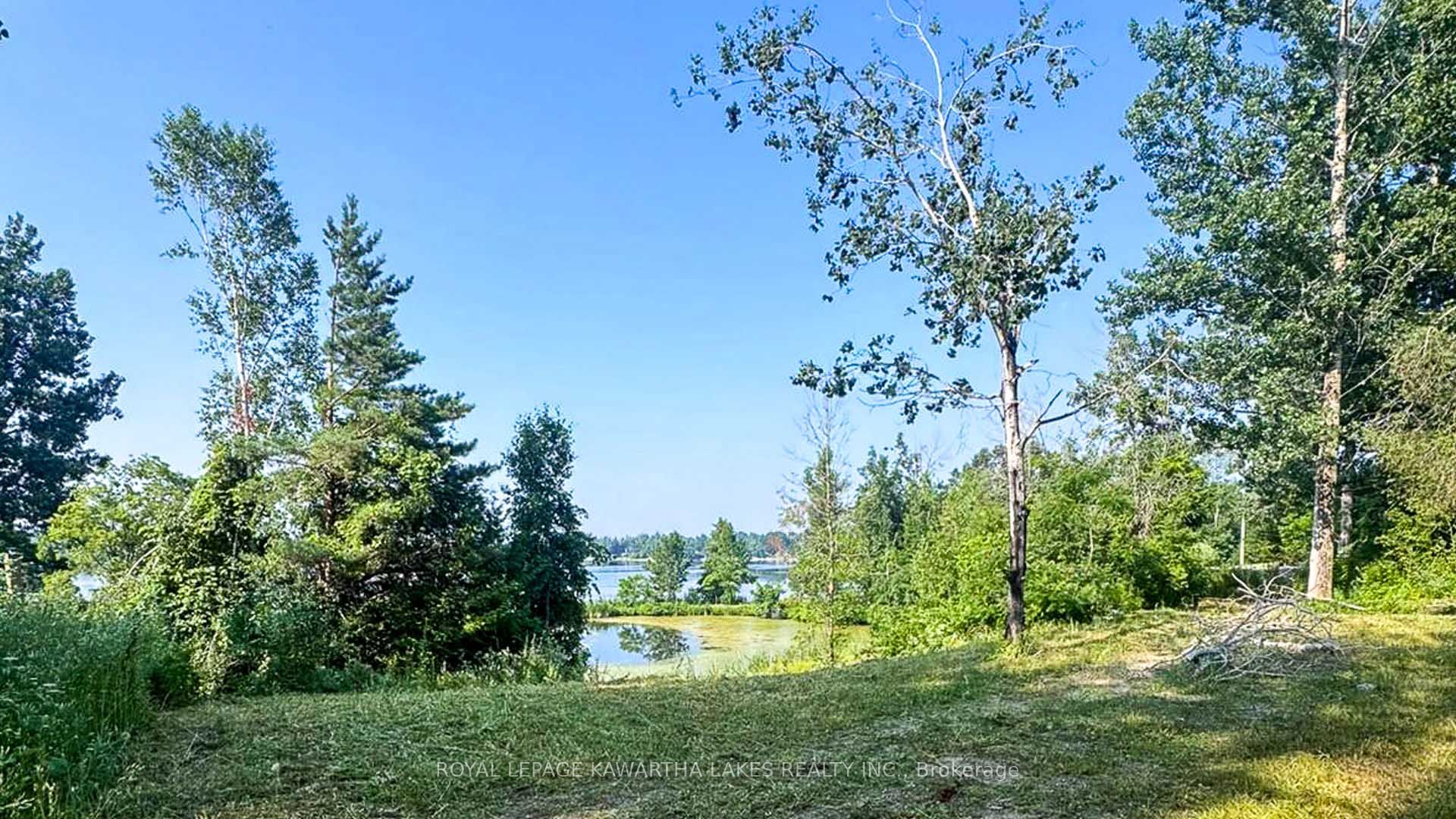 Additional image 6 of 14 Lawson Court, Kawartha Lakes, ON, K0L 2W0