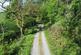 Additional image 6 of Llansawel, Llandeilo