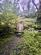 Additional image 7 of Llanon