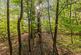 Additional image 24 of Salt Lane, Hydestile, GU8