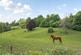 Additional image 2 of Hawkwood Lane, Chislehurst, Kent, BR7