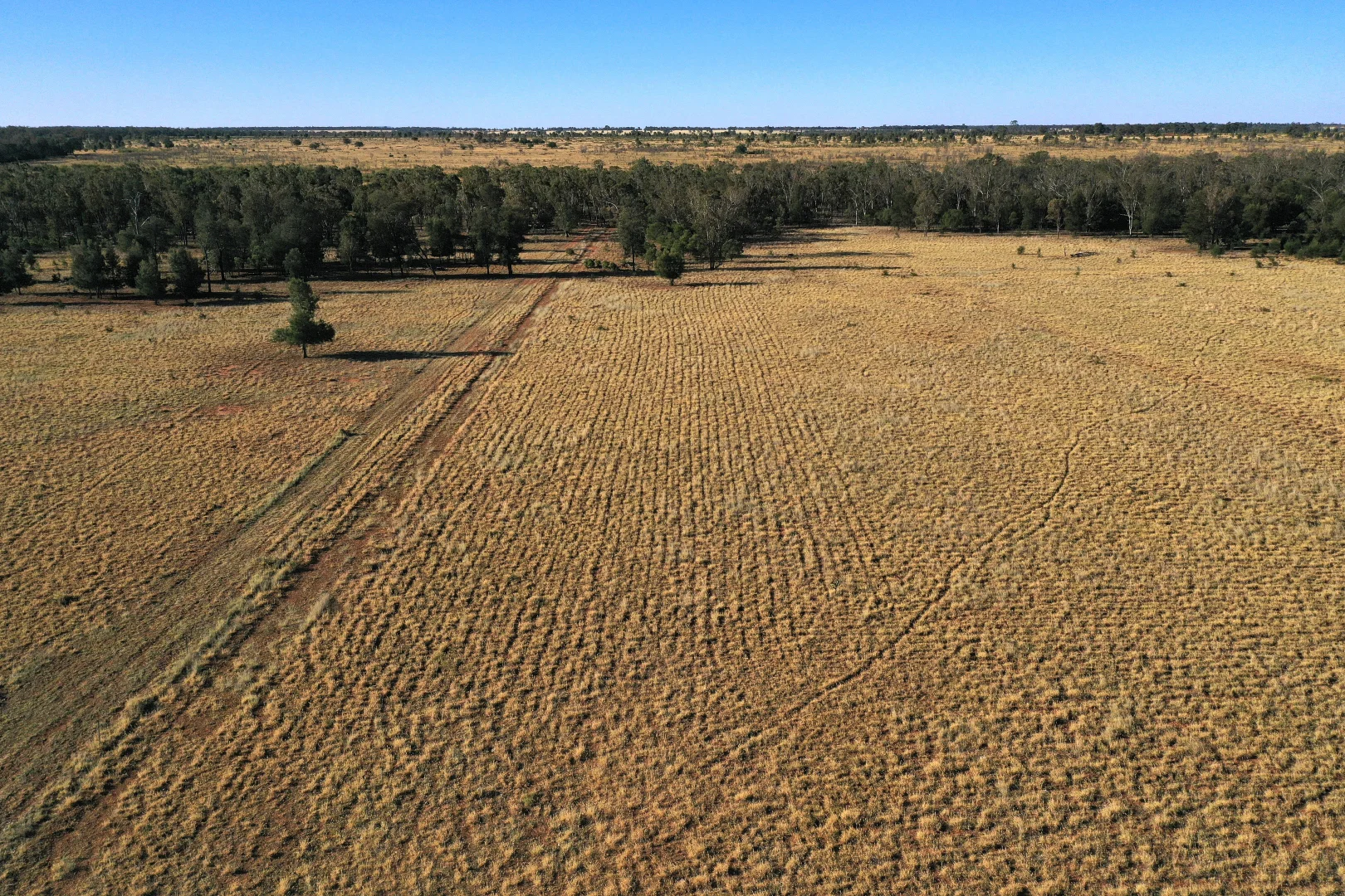 Additional image 14 of Roma QLD 4455