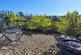 Additional image 2 of Holly Cottage, Nateby, CA17 4JR