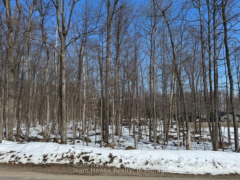 Additional image 3 of 85 Polish Avenue, Penetanguishene, ON, L9M 1W8