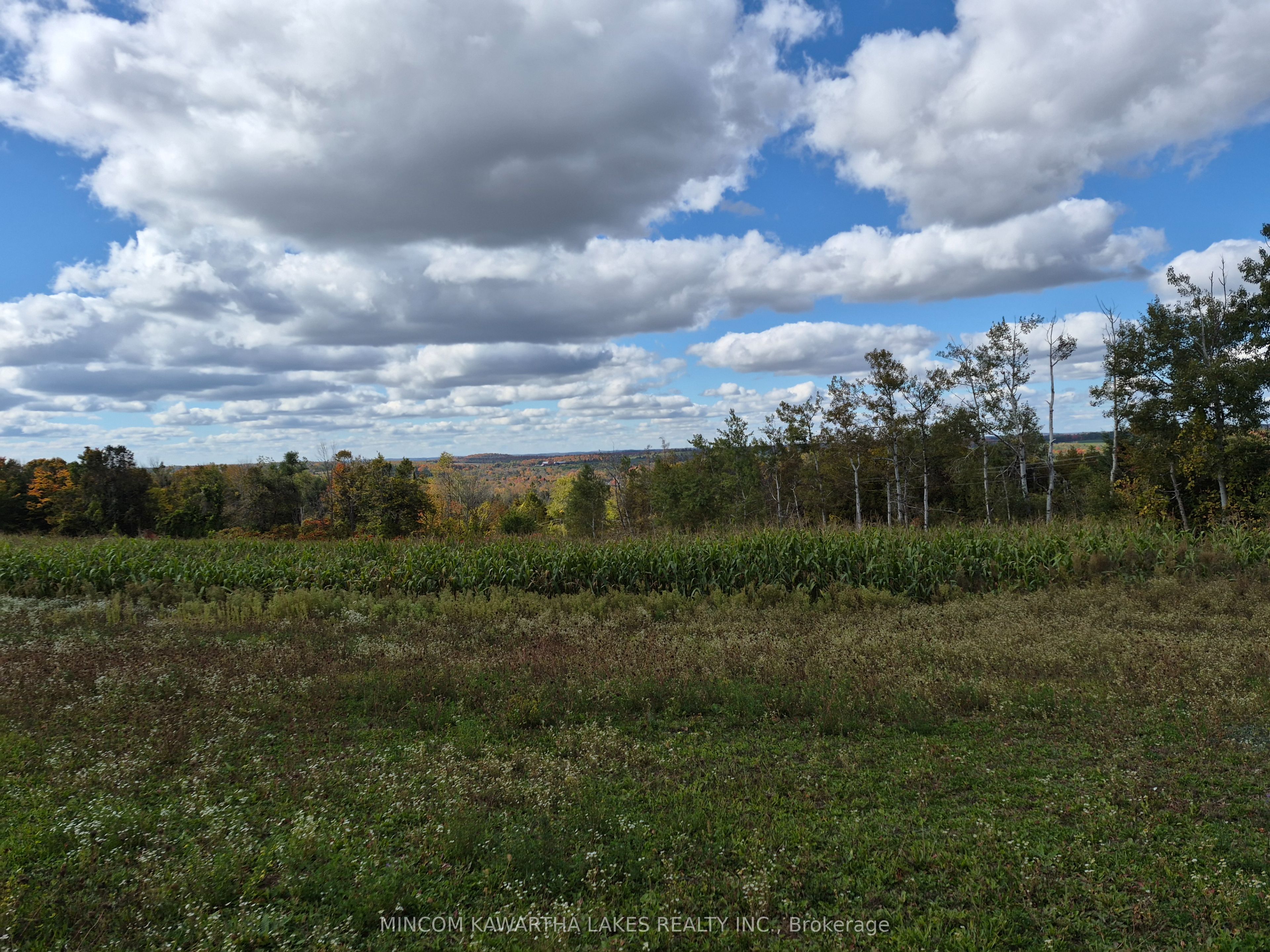 Additional image 5 of PL 15 Base Line, Otonabee-south Monaghan, ON, K0L 2G0