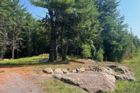 Additional image 8 of 942 Balmer Road, North Kawartha, ON, K0L 1A0