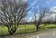 Additional image 8 of MELVILLE, NEWBURY RG14