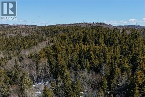 Additional image 7 of 59 Morgan Road, Saint John, NB, E2H2B2