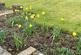 Additional image 60 of Connaught Drive, Golders Green NW11